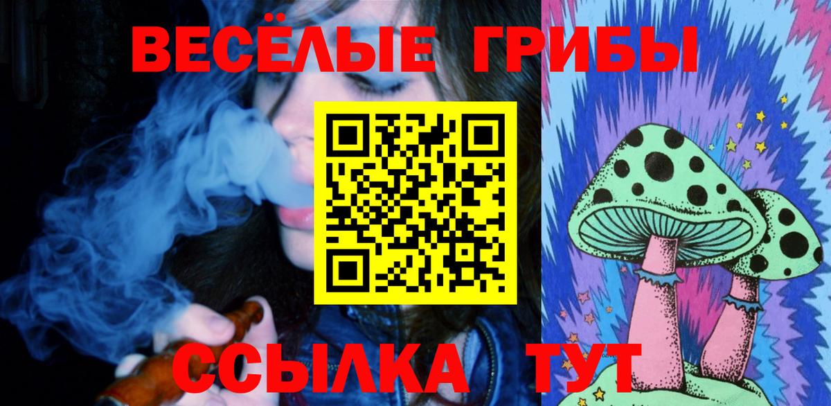 Псилоцибиновые грибы Psilocybine cubensis Шелехов
