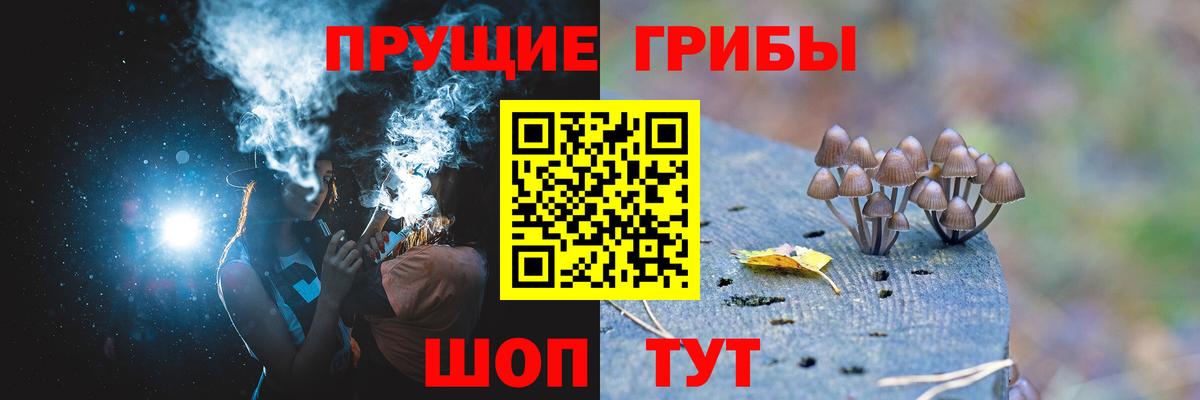 Псилоцибиновые грибы Psilocybine cubensis  Вход с VPN  Шелехов  где купить наркоту  Псилоцибиновые грибы Cubensis 